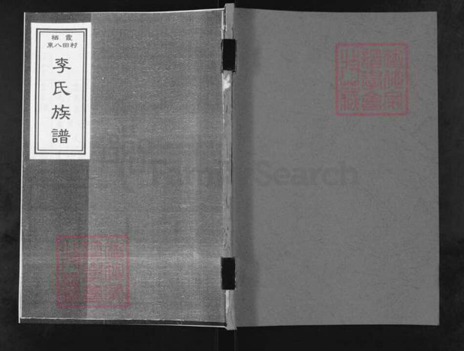 山东省烟台市栖霞市李氏族谱-栖霞东八田村李氏族谱.pdf电子版缩略图