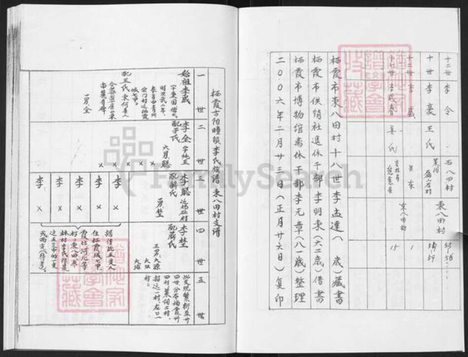 山东省烟台市栖霞市李氏族谱-栖霞东八田村李氏族谱.pdf电子版预览图2