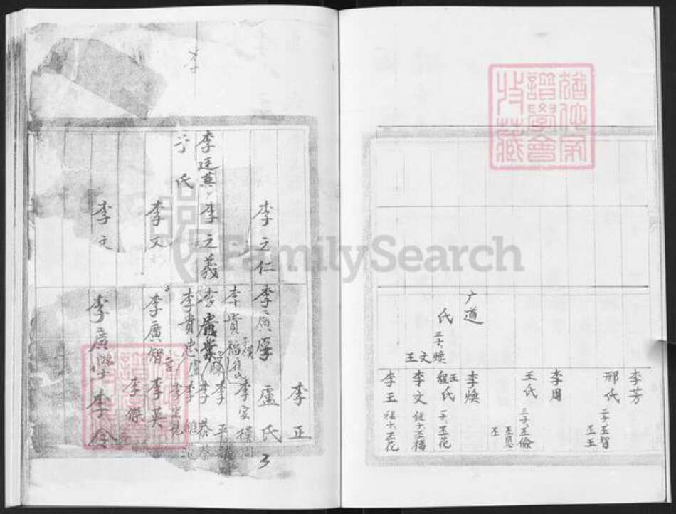 山东省烟台市栖霞市李氏族谱-栖霞东八田村李氏族谱.pdf电子版预览图5