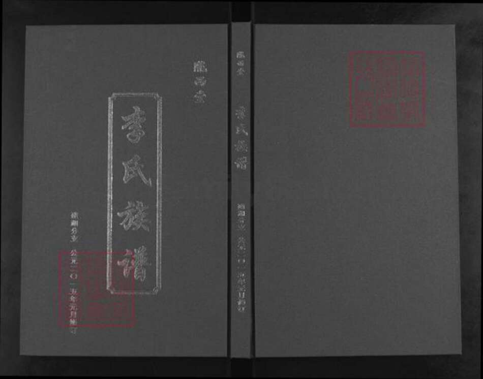 江苏省盐城市建湖县上冈镇李氏陇西堂族谱-建湖陇西堂李氏族谱.pdf电子版缩略图