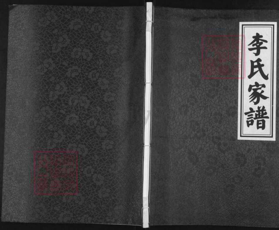 河北省唐山市滦县滦州李氏族谱-李氏家谱.pdf电子版缩略图