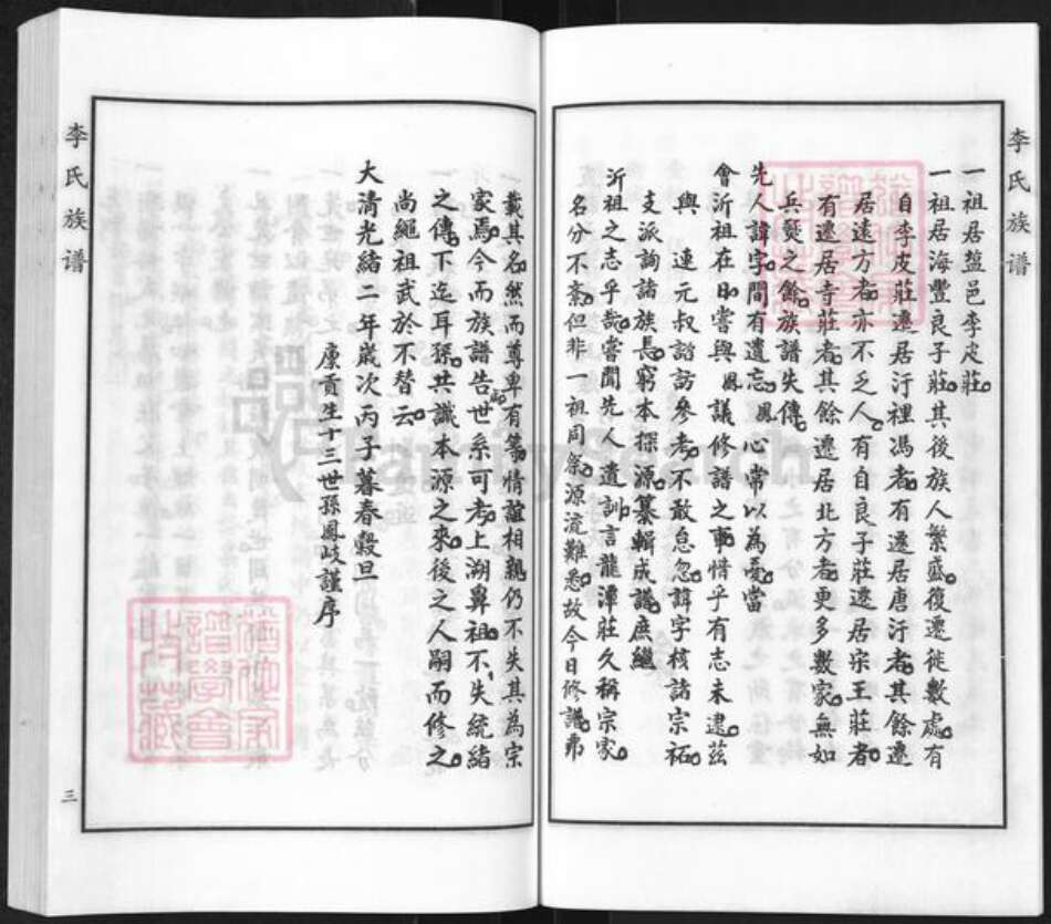 河北省沧州海兴县高湾镇李氏族谱-李氏族谱.pdf电子版预览图5