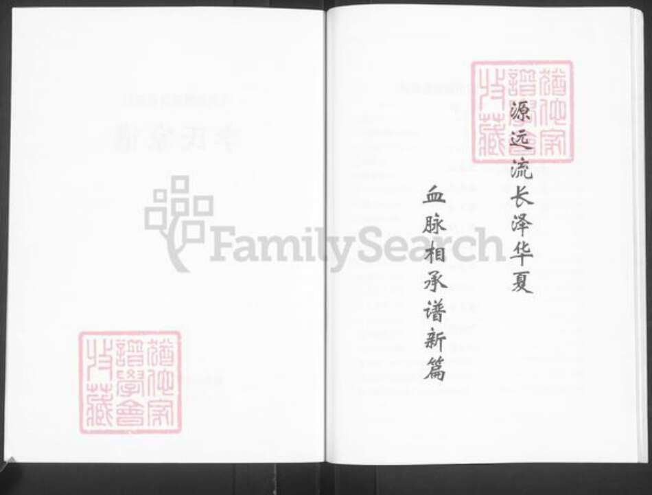 河南省焦作市博爱县金城乡李氏族谱-李氏家谱.pdf电子版预览图2