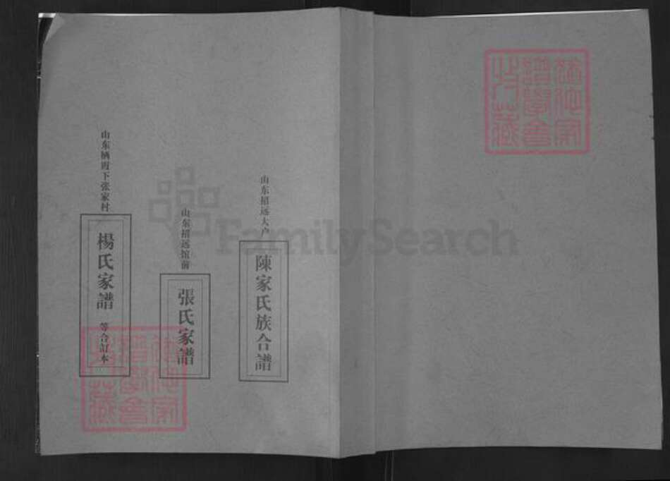 山东省烟台市栖霞市寺口镇李氏族谱-邴家李氏族谱.pdf电子版缩略图