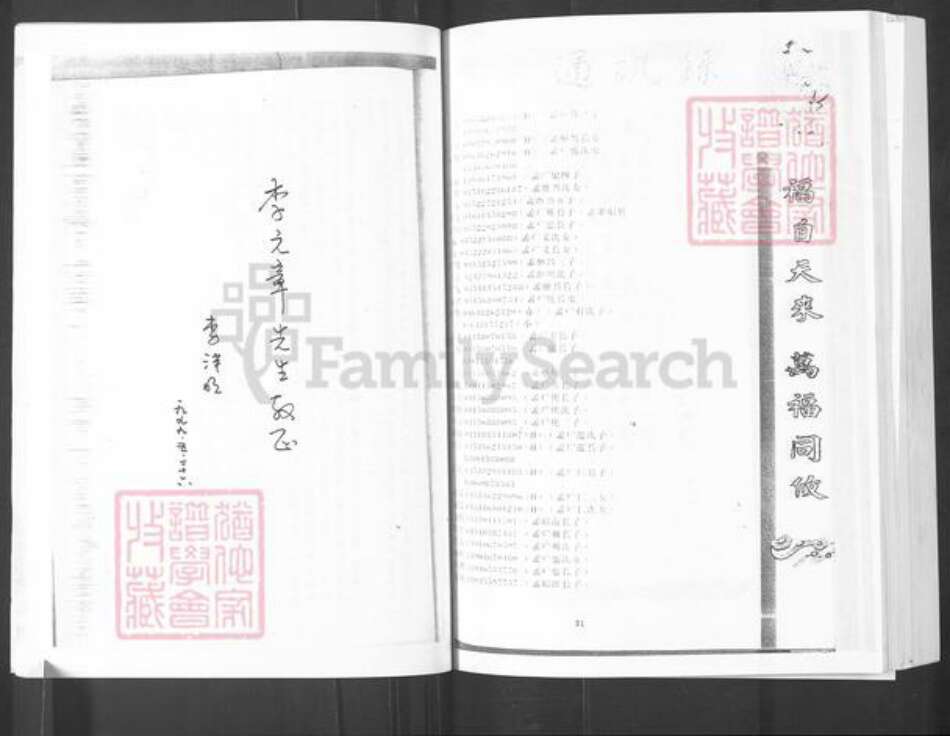 山东省烟台市栖霞市寺口镇李氏族谱-邴家李氏族谱.pdf电子版预览图1