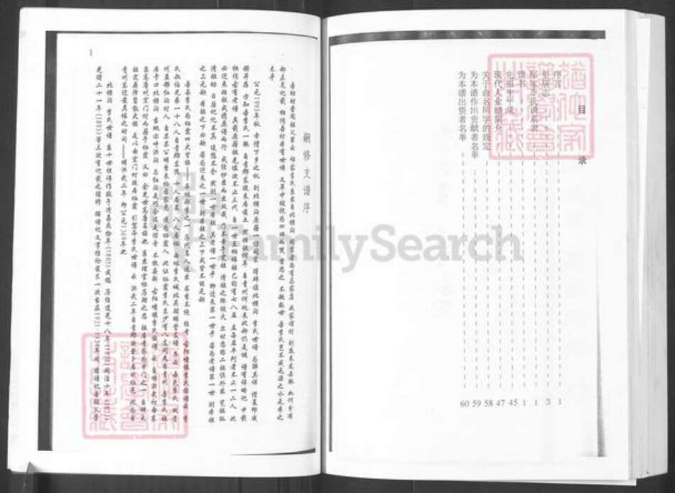 山东省烟台市栖霞市寺口镇李氏族谱-邴家李氏族谱.pdf电子版预览图2