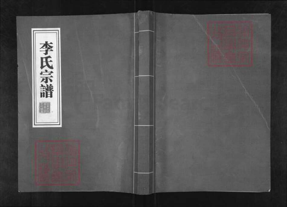 山东省济宁市任城区李氏族谱-李氏宗谱.pdf电子版缩略图