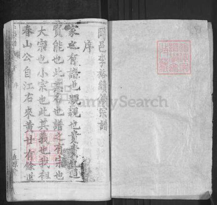 湖北省黄冈市李氏追源堂族谱-李氏宗谱.pdf电子版预览图1