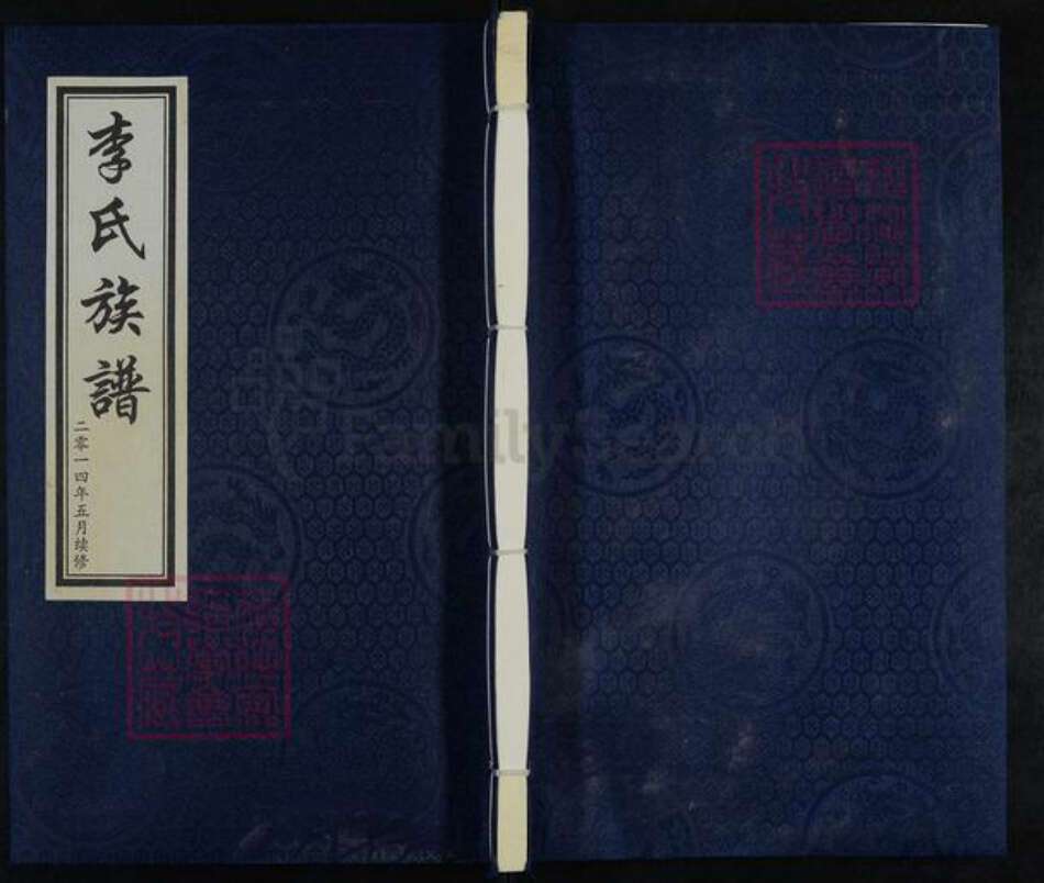 河北省沧州海兴县高湾镇李氏族谱-李氏族谱.pdf电子版缩略图