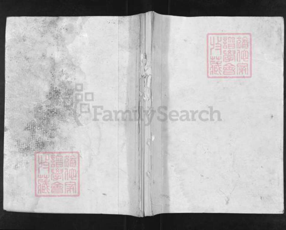 江苏省盐城市亭湖区李氏族谱-盐城李氏宗谱.pdf电子版缩略图