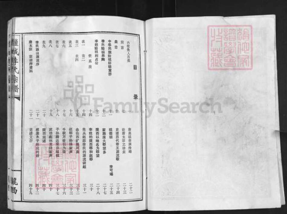 江苏省盐城市亭湖区李氏族谱-盐城李氏宗谱.pdf电子版预览图2