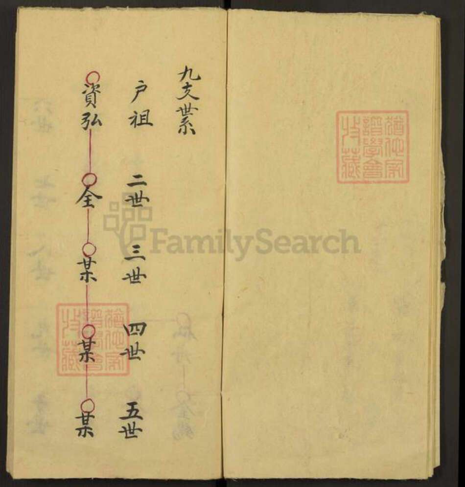 山西省运城市闻喜县李氏族谱-Missing Title.pdf电子版预览图4