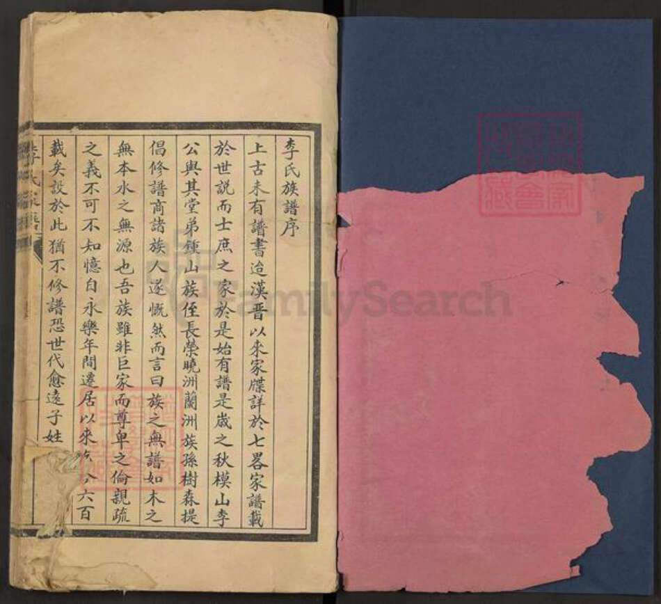 山东省李氏族谱-李氏家谱.pdf电子版预览图2