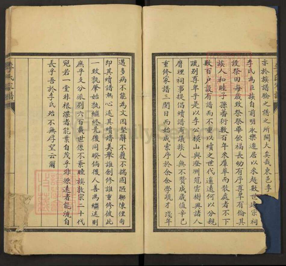 山东省李氏族谱-李氏家谱.pdf电子版预览图5