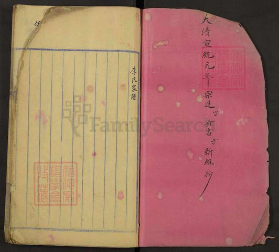 四川省成都市金牛区天回镇街道李氏族谱-李氏家谱.pdf电子版预览图1