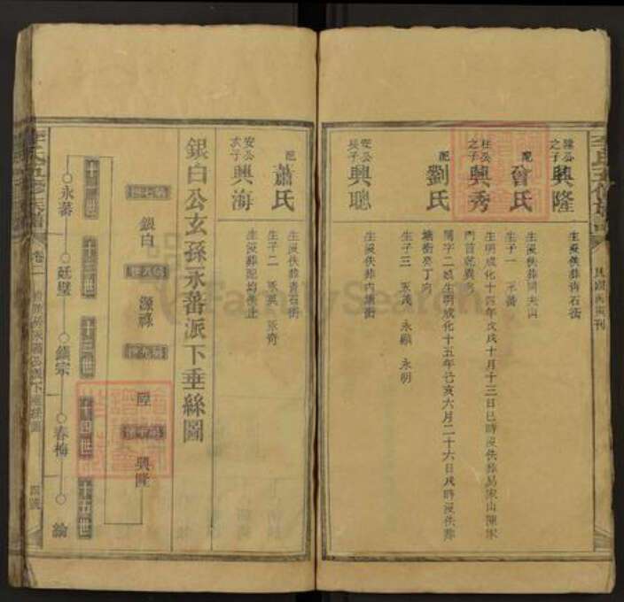 湖南省益阳市安化县江南镇李氏族谱-李氏五修族谱.pdf电子版预览图4