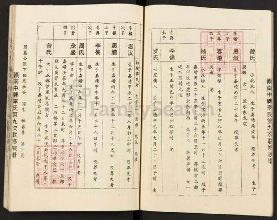 江西省赣州市章贡区李氏族谱-赣南中牌李氏第九次联修族谱.pdf电子版预览图3