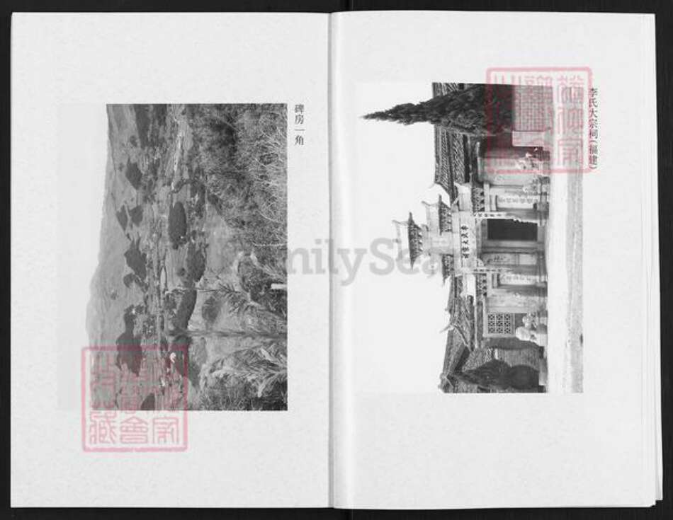 云南省昭通市彝良县李氏族谱-李氏宗谱.pdf电子版预览图5