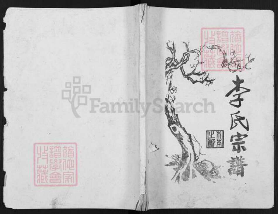 重庆市涪陵区李氏族谱-李氏宗谱.pdf电子版缩略图