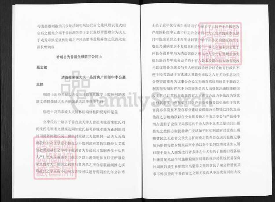 天津市西青李氏延古堂族谱-李氏族谱.pdf电子版预览图5