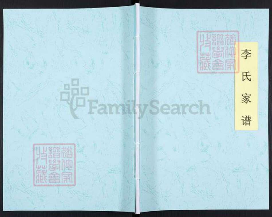 山西省运城市盐湖区中城街道李氏族谱-李氏家谱.pdf电子版缩略图