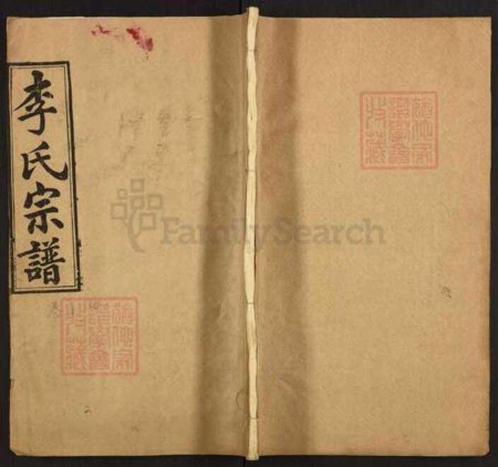 湖北省武汉市黄陂区李氏青莲堂族谱-李氏宗谱.pdf电子版缩略图