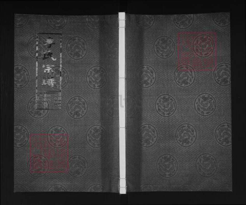 江苏省盐城市盐都区李氏陇西堂族谱-李氏宗谱.pdf电子版缩略图