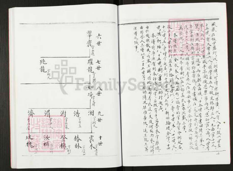 江苏省扬州市高邮市李氏族谱-李氏宗谱.pdf电子版预览图3