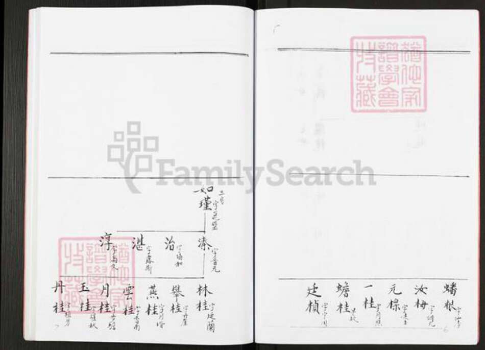 江苏省扬州市高邮市李氏族谱-李氏宗谱.pdf电子版预览图4