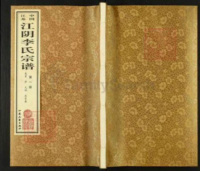 江苏省无锡市锡山区李氏济美堂族谱-江阴李氏宗谱.pdf电子版缩略图