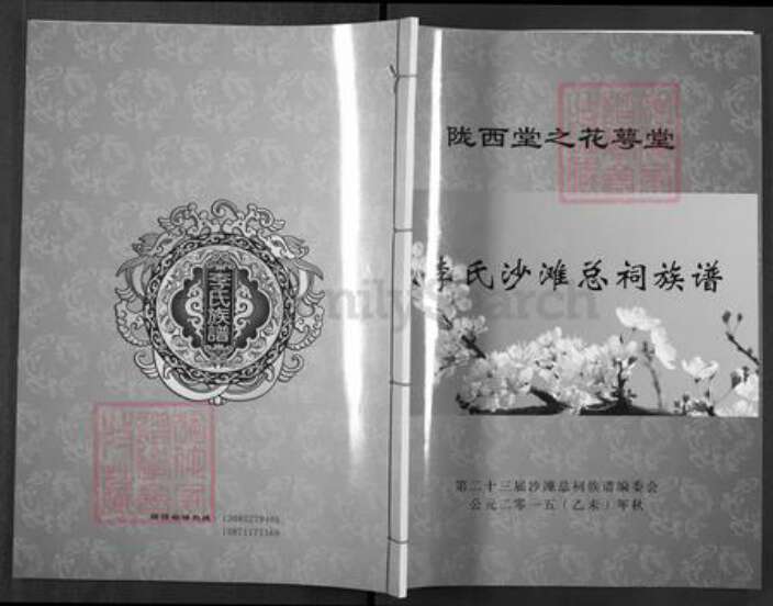 湖南省岳阳市临湘市詹桥镇李氏花萼堂族谱-李氏沙滩总祠族谱.pdf电子版缩略图