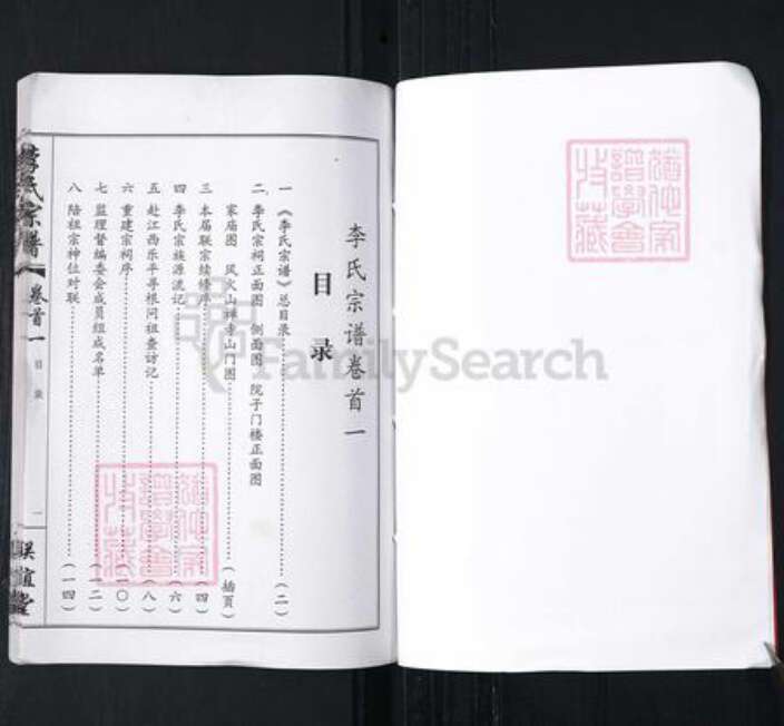 湖北省武汉市新洲区李氏联谊堂族谱-李氏宗谱.pdf电子版预览图3