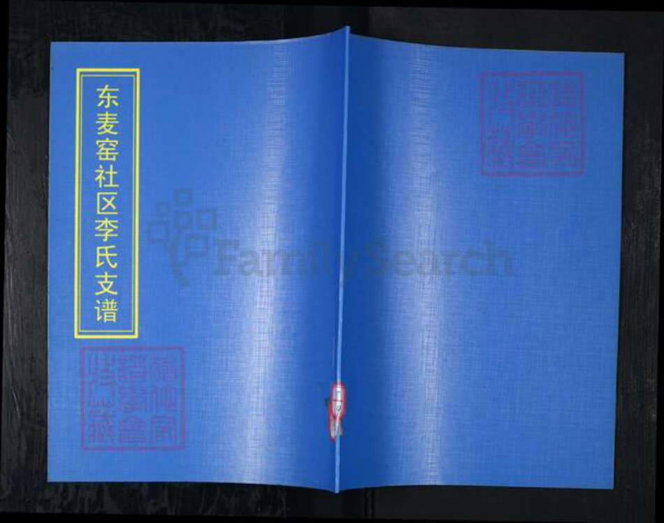 山东省青岛市崂山区李氏族谱-东麦窑社区李氏支谱.pdf电子版缩略图