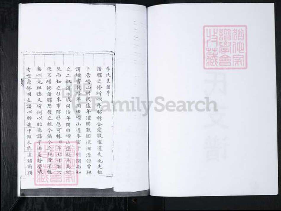 山东省青岛市崂山区李氏族谱-东麦窑社区李氏支谱.pdf电子版预览图2