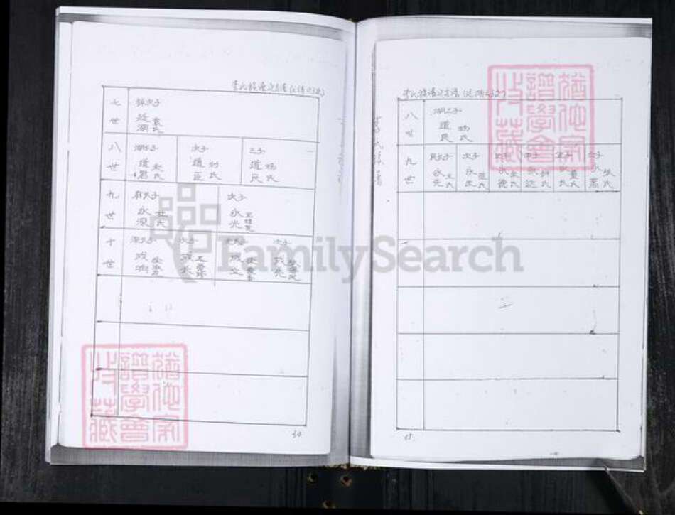 山东省青岛市李氏族谱-李氏族谱.王村擡头.pdf电子版预览图4