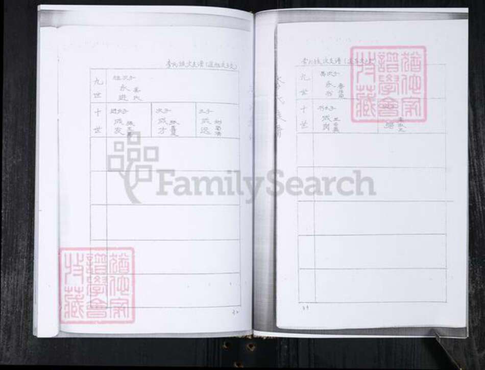 山东省青岛市李氏族谱-李氏族谱.王村擡头.pdf电子版预览图5