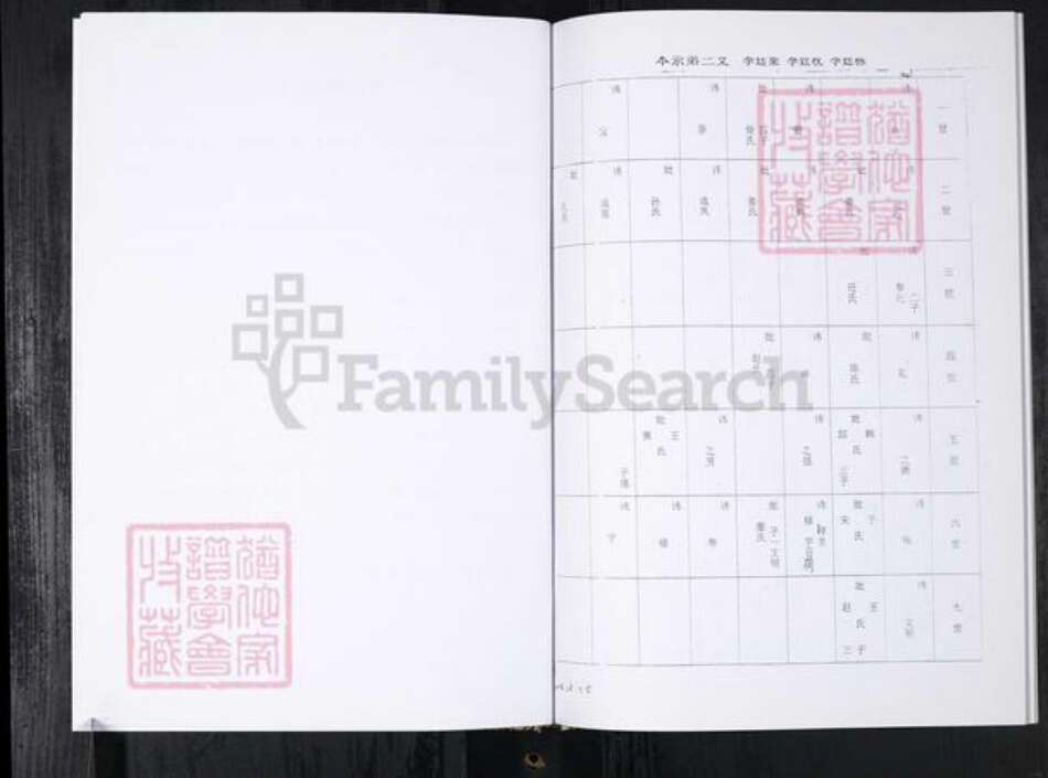 山东省青岛市李氏族谱-李氏族谱.任家屯.pdf电子版预览图3