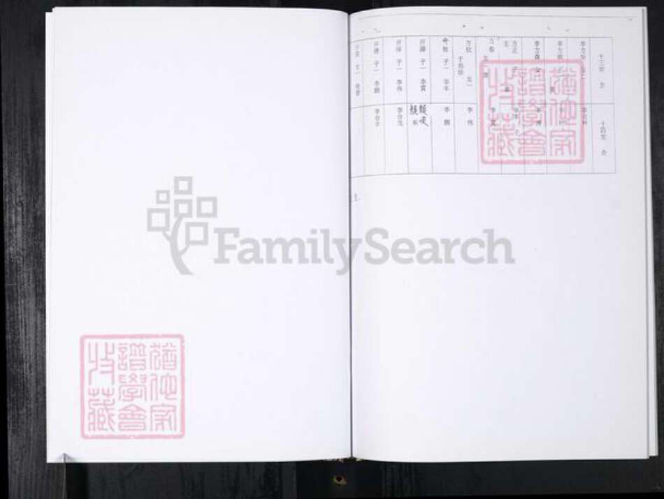 山东省青岛市李氏族谱-李氏族谱.任家屯.pdf电子版预览图5