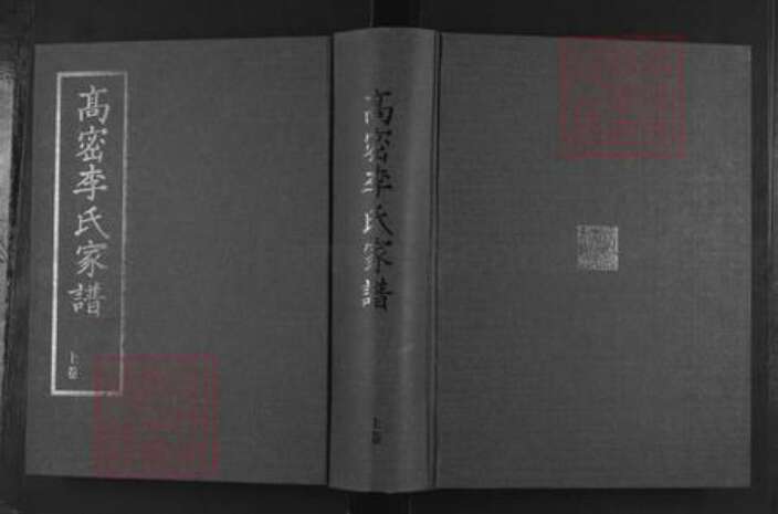 山东省潍坊市高密市李氏族谱-高密李氏家谱.pdf电子版缩略图