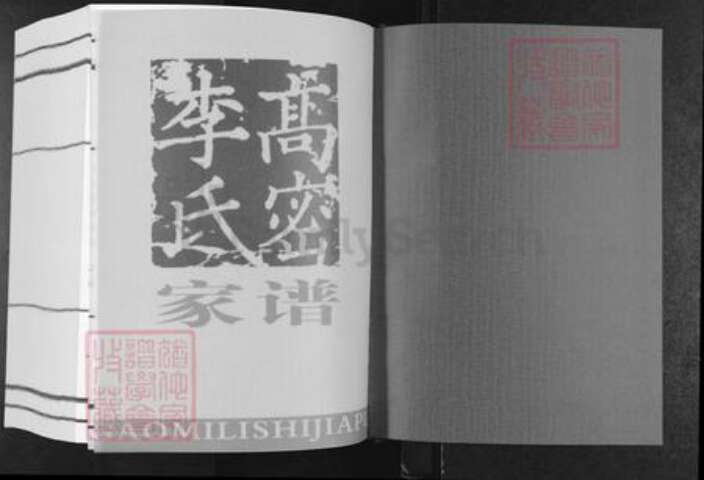 山东省潍坊市高密市李氏族谱-高密李氏家谱.pdf电子版预览图1