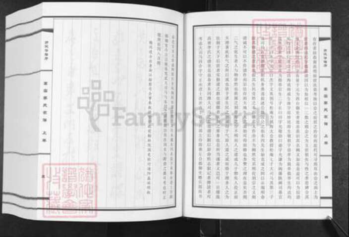 山东省潍坊市高密市李氏族谱-高密李氏家谱.pdf电子版预览图5