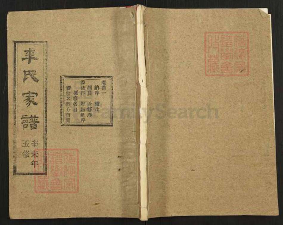 湖北省黄冈市黄梅县停前镇李氏族谱-李氏家谱.pdf电子版缩略图