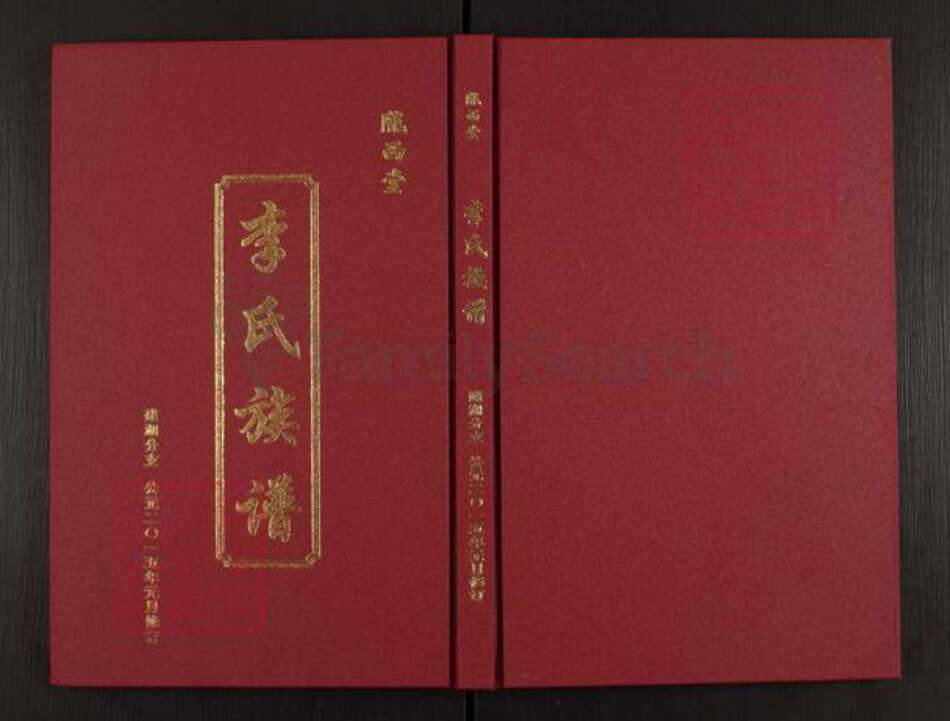 江苏省扬州市高邮市龙虬镇李氏陇西堂族谱-李氏族谱.建湖分支.pdf电子版缩略图