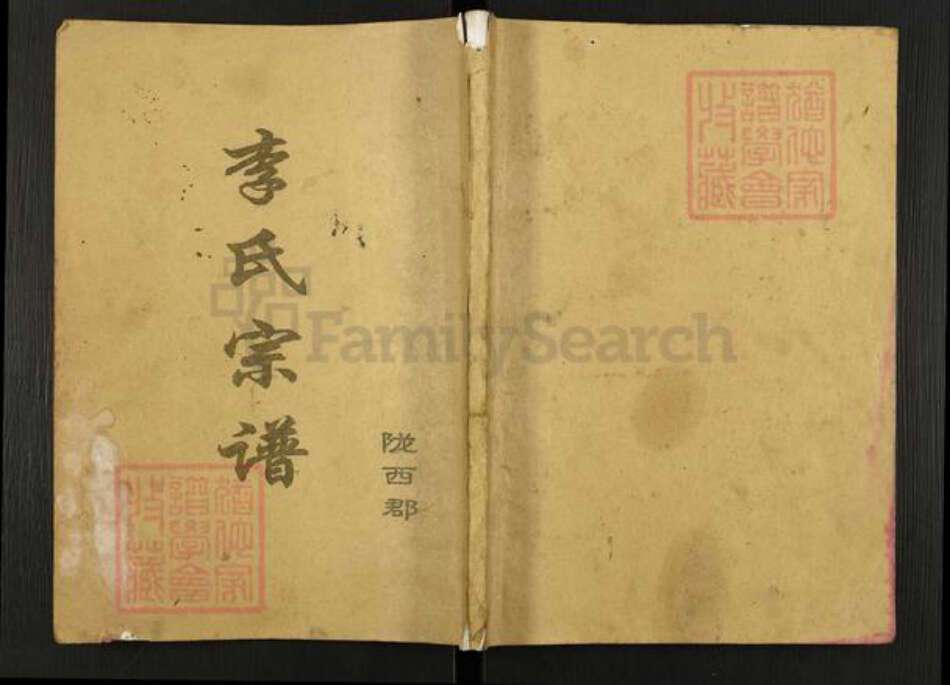 江苏省盐城市亭湖区李氏族谱-盐城李氏宗谱.pdf电子版缩略图