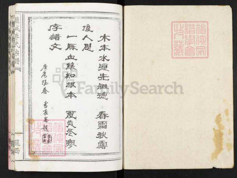 江苏省盐城市亭湖区李氏族谱-盐城李氏宗谱.pdf电子版预览图1 江苏省盐城市亭湖区李氏族谱-盐城李氏宗谱.pdf电子版预览图1