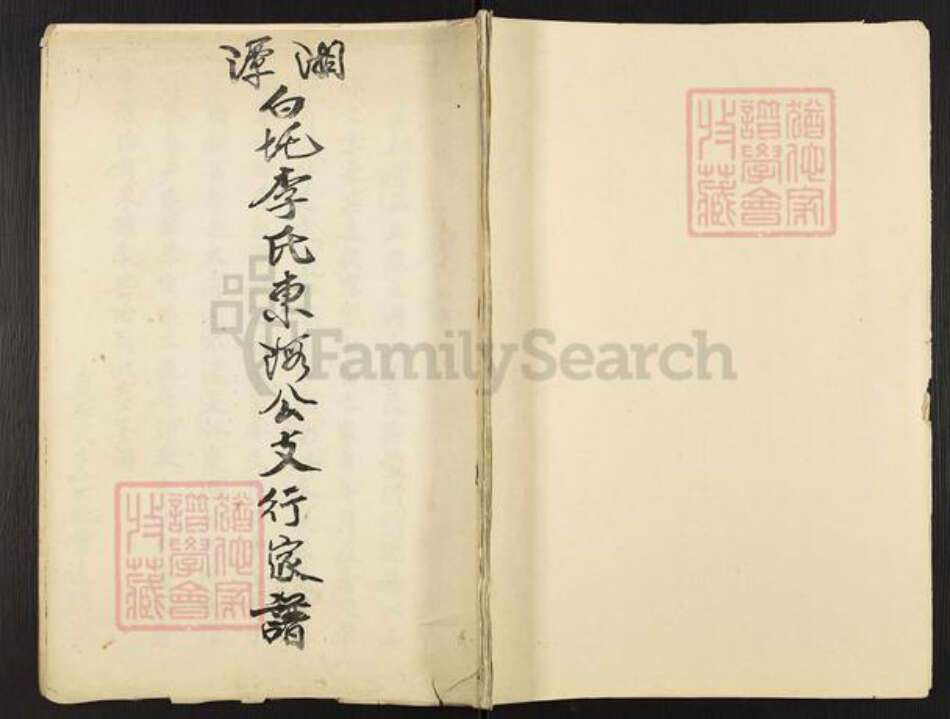 湖南省湘潭市湘潭县石潭镇李氏族谱-湘潭白圫李氏东海公支行家谱.pdf电子版缩略图