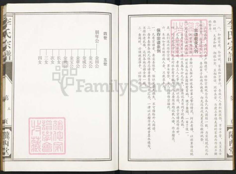 江苏省盐城市建湖县李氏陇西堂族谱-盐城李氏宗谱.pdf电子版预览图5