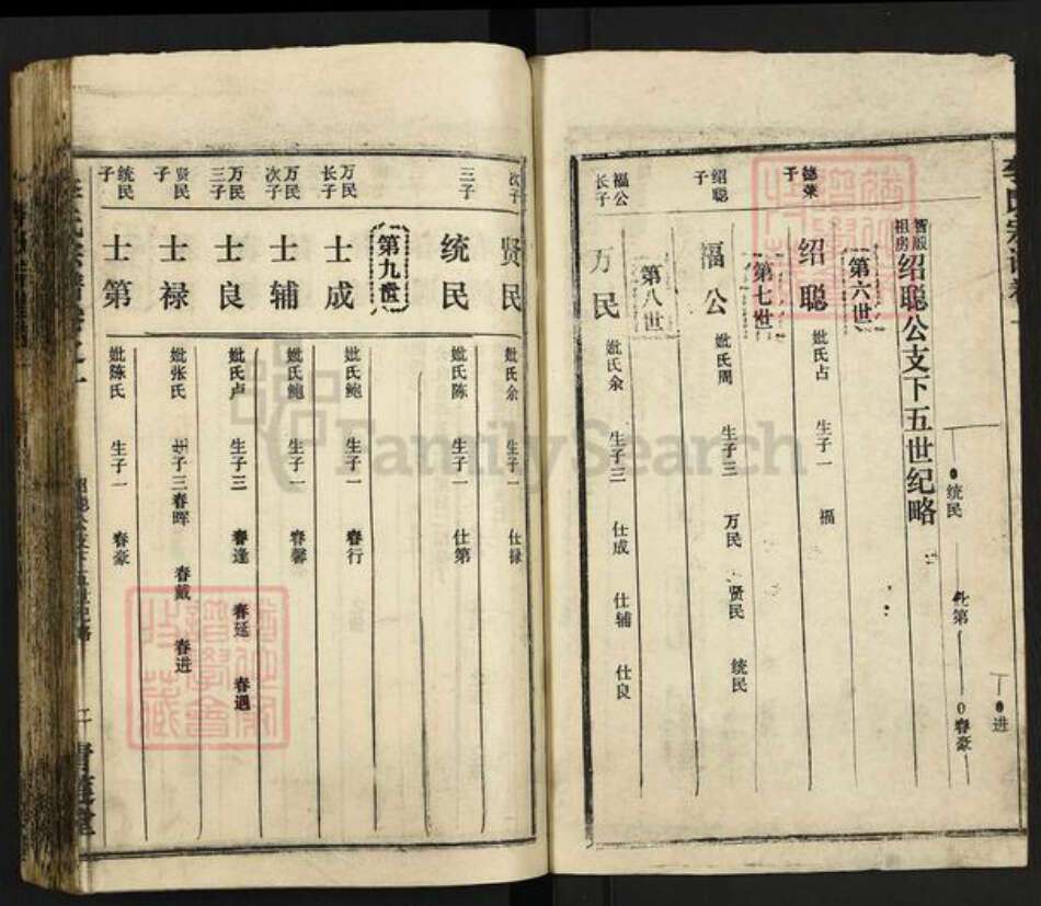 湖北省黄冈市麻城市李氏青莲堂族谱-李氏宗谱.pdf电子版预览图2