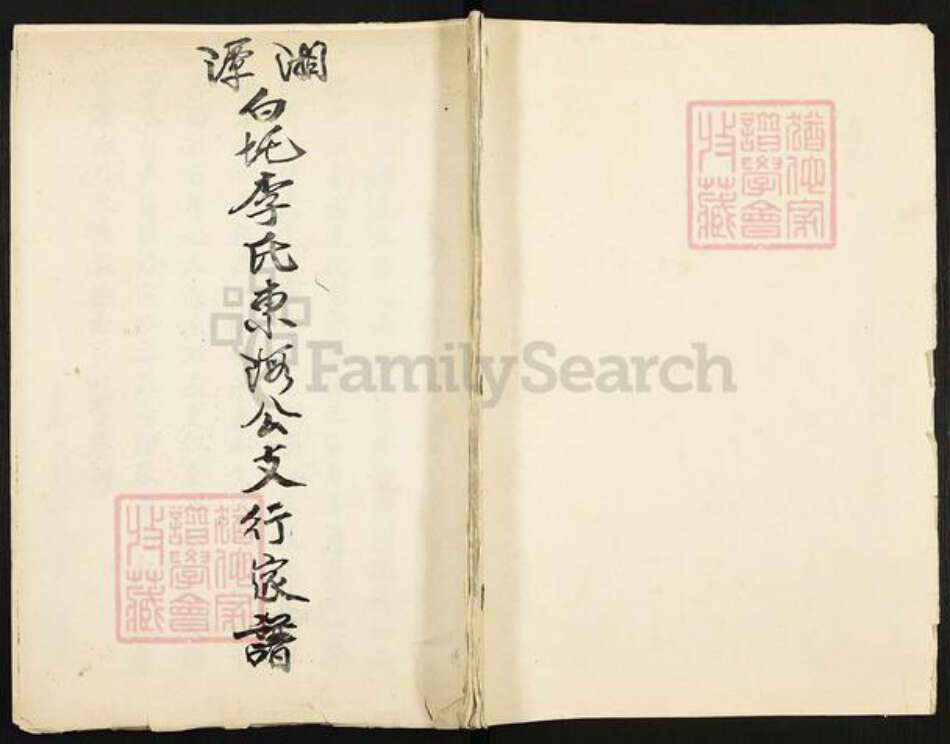 湖南省湘潭市湘潭县石潭镇李氏族谱-湘潭白圫李氏东河公支行家谱.pdf电子版缩略图