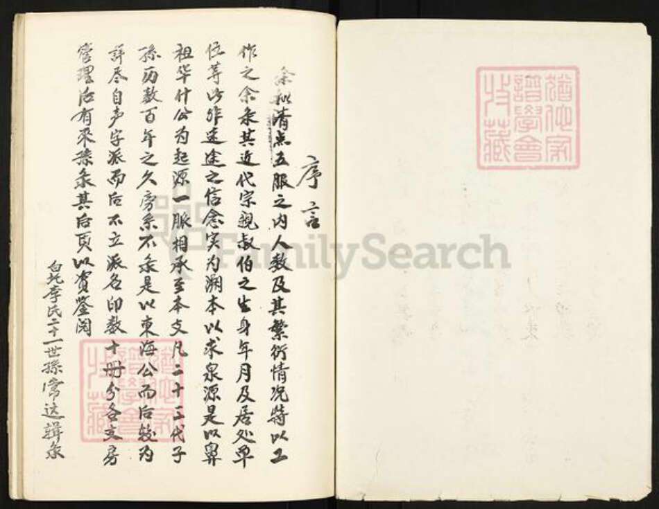 湖南省湘潭市湘潭县石潭镇李氏族谱-湘潭白圫李氏东河公支行家谱.pdf电子版预览图1